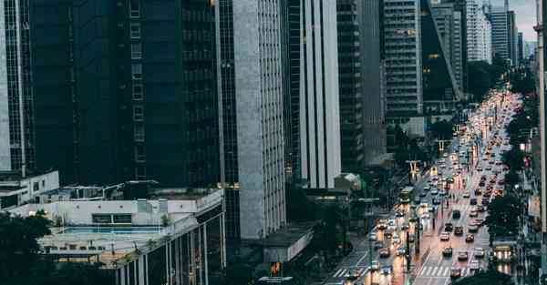 外国语单招大数据的行业文章