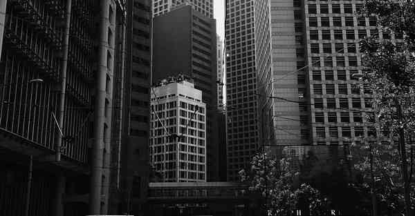 大数据影视软件