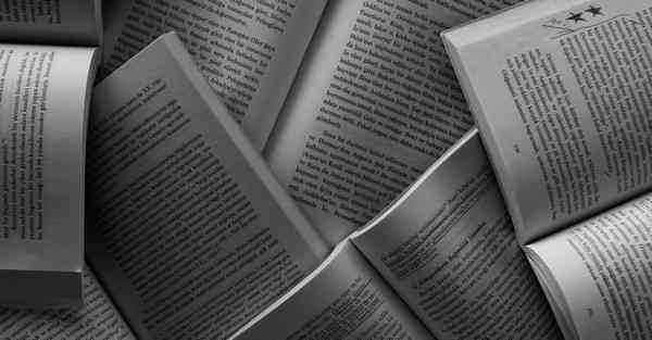 票据业务大数据揭开行业的“秘密花园”