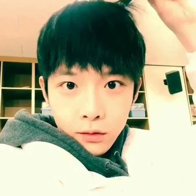 常春文丽