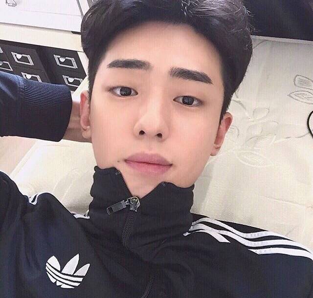 吴清善保
