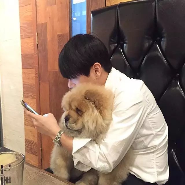 雍玉欣红