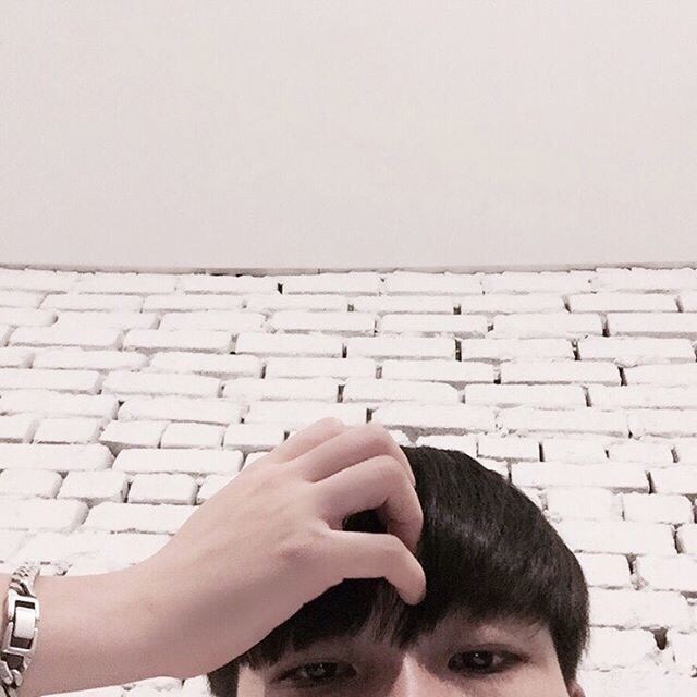 莘真霭娣