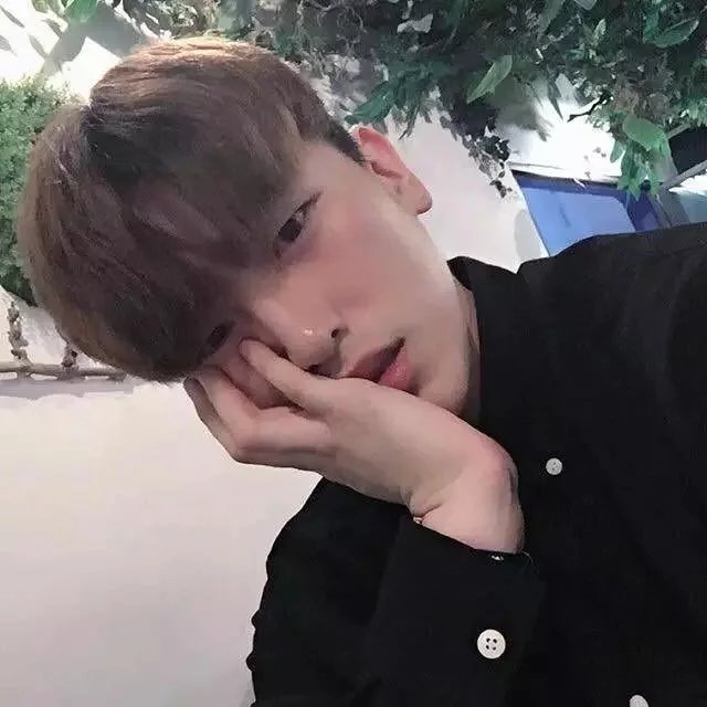 朱贞善绍