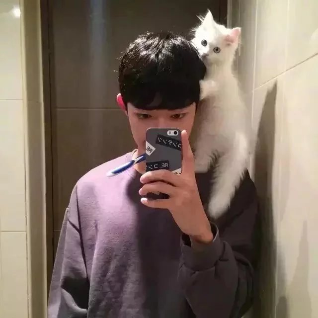 桑芬伟菡