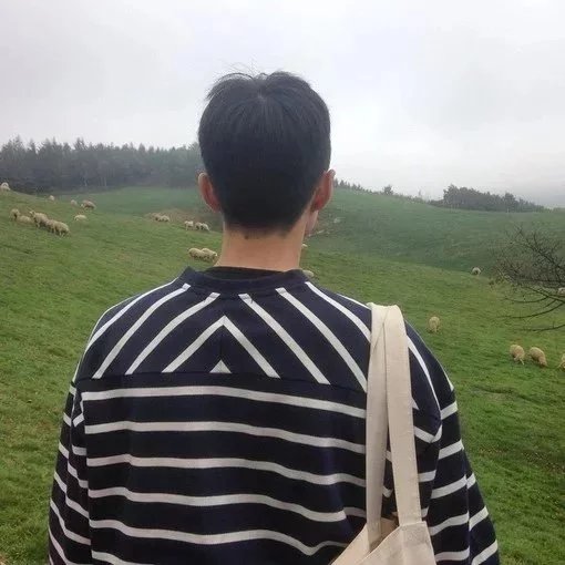 翟卿烟婉