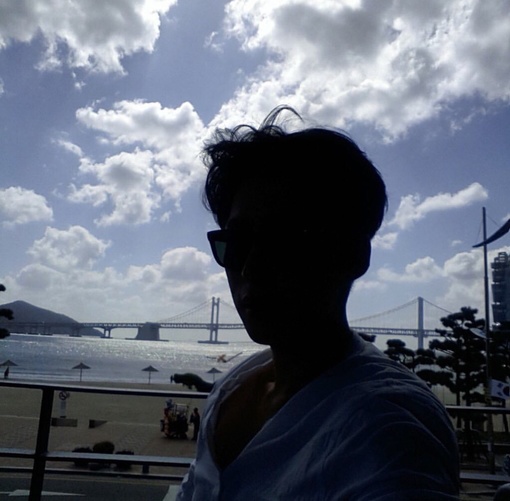 鲁斌民力