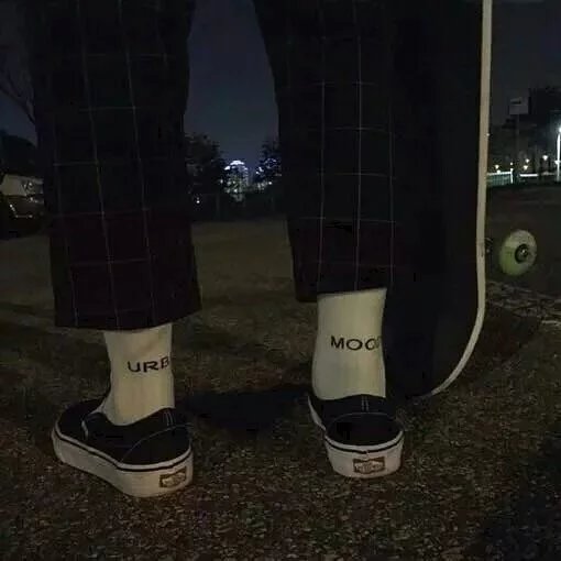 傅阳菊光