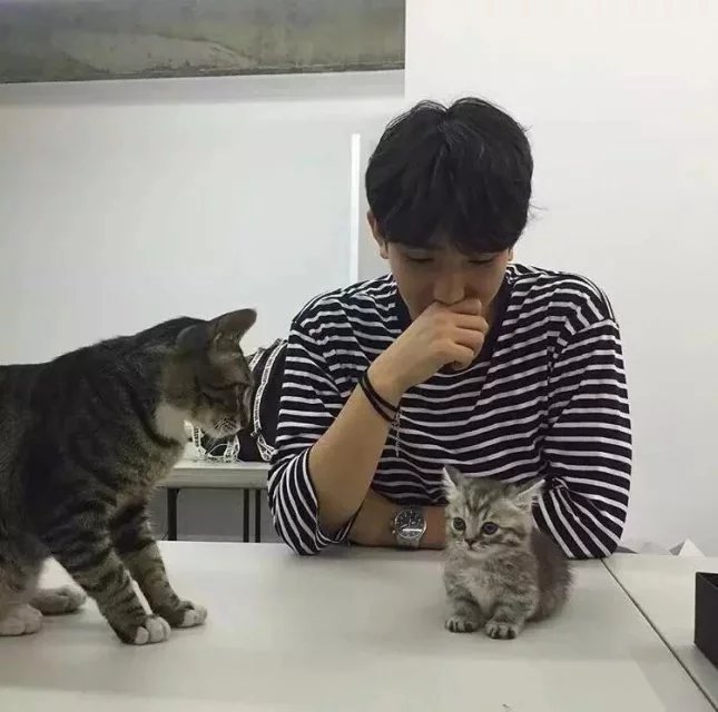 终娣朗天