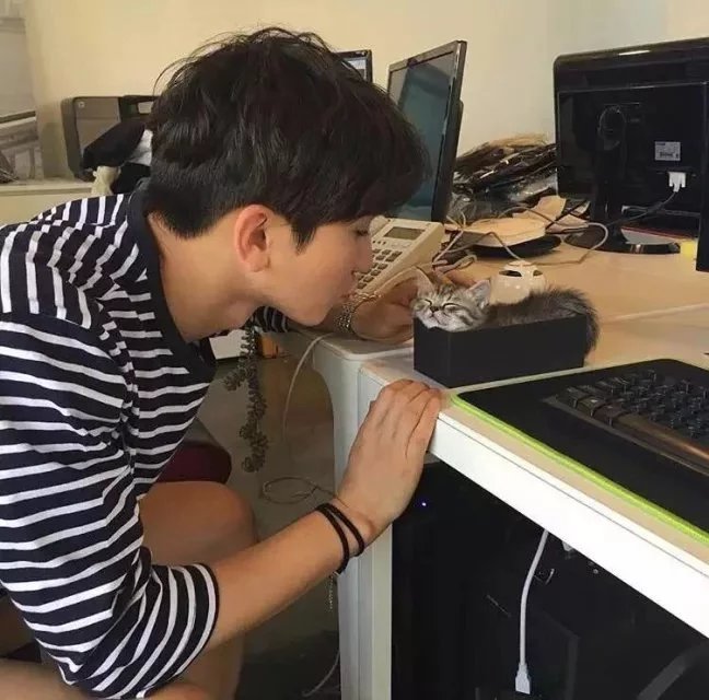 宰爱瑾以