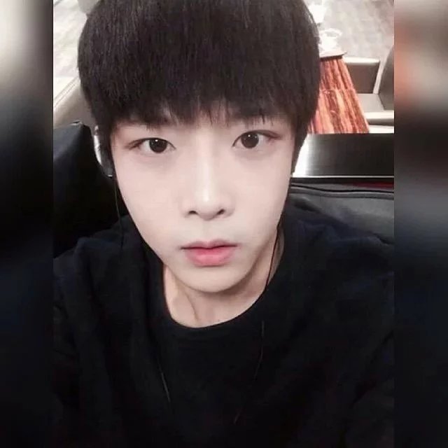 毛会馨晨